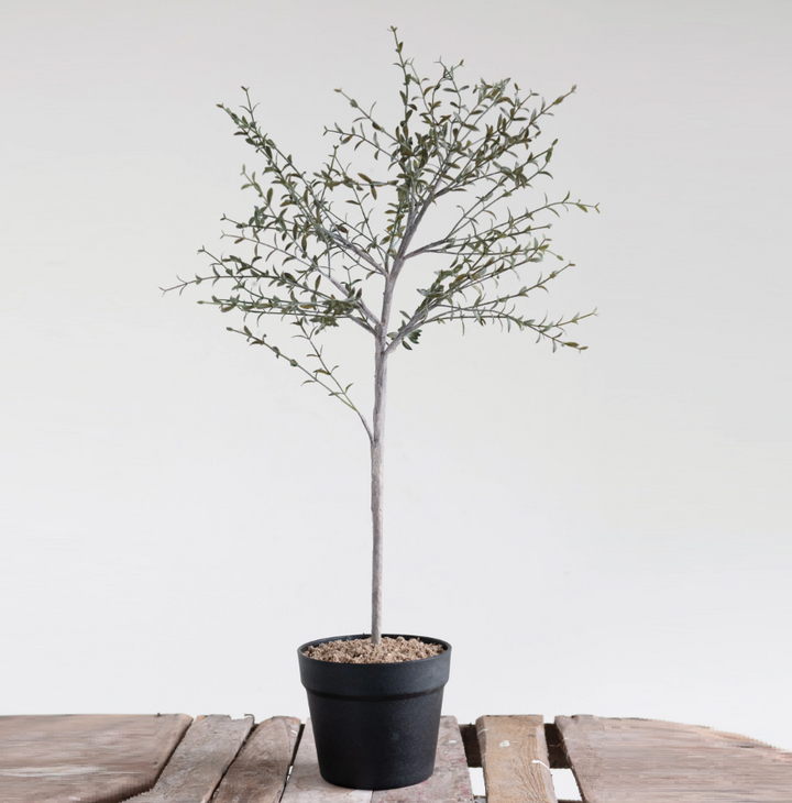 Faux Thyme Topiary in Pot - 13 Hub Lane   |  Potted Plants