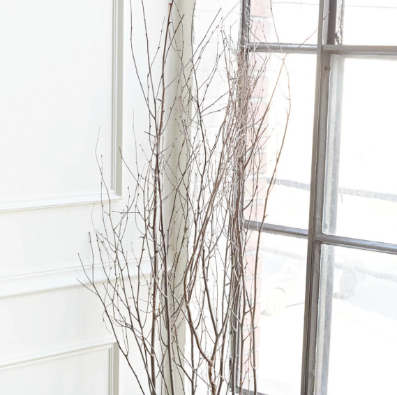 Birch Branch Bundle - 13 Hub Lane   |  Botanical Branches