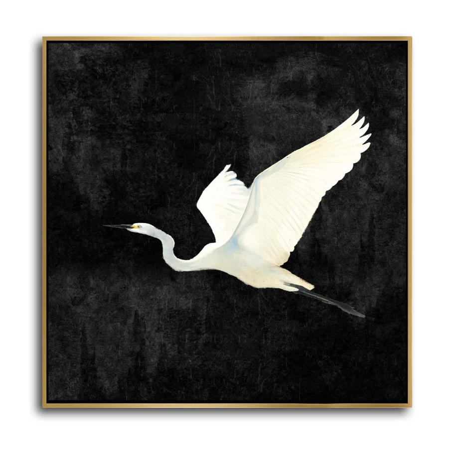 Egret II