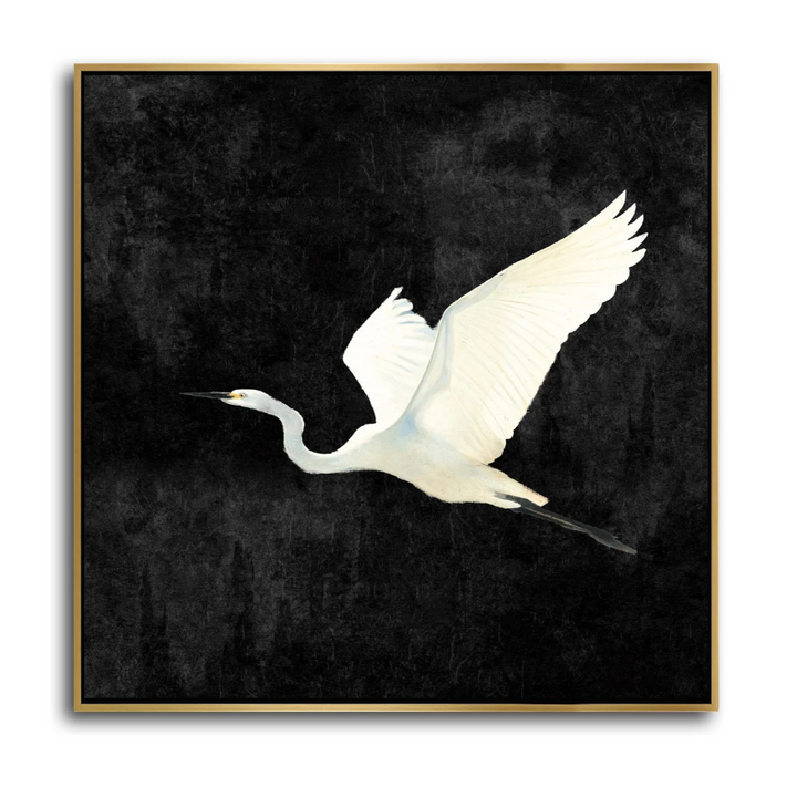 Egret II