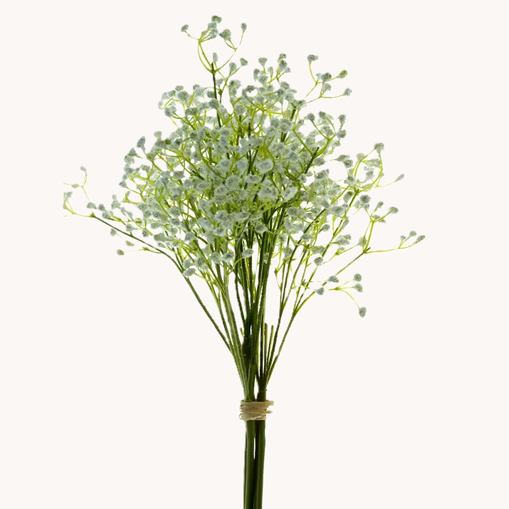 Baby's Breath Bunch, White