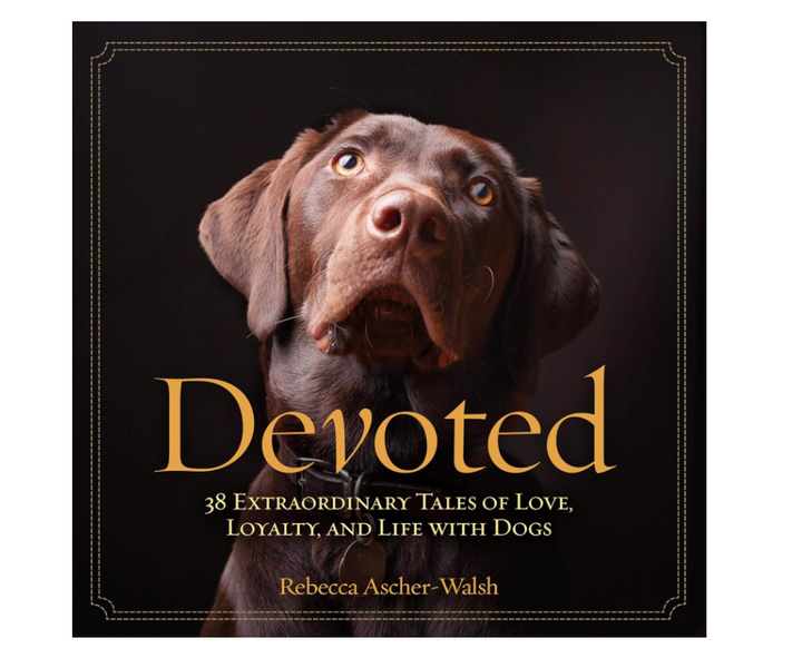 Devoted: 38 Extraordinary Tales of Love, Loyalty & Life With Dogs - 13 Hub Lane   |  