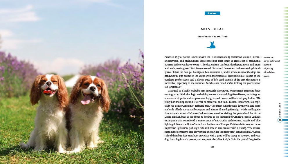 Fifty Places To Travel With Your Dog - 13 Hub Lane   |  