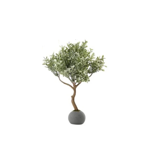 Frost Boxwood Topiary in Cement Ball