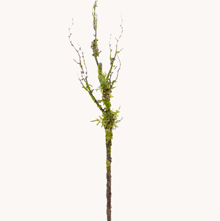 Twig Branch w/ Moss, Green & Brown