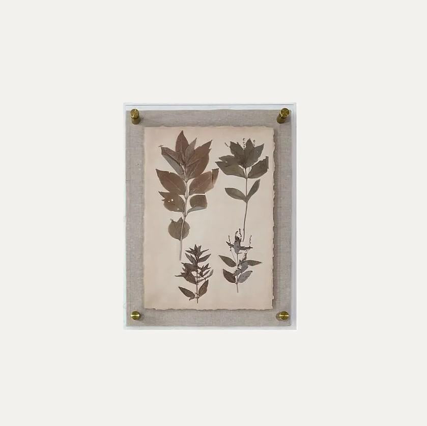 Dried Botanical Print - 13 Hub Lane   |  