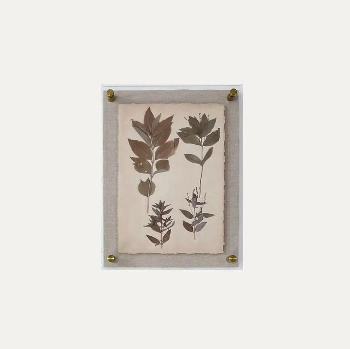 Dried Botanical Print - 13 Hub Lane   |  