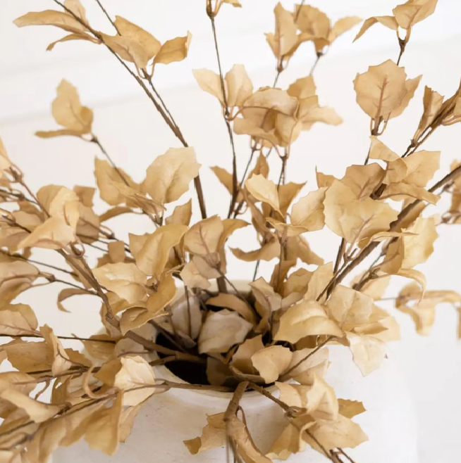 Botanica #9038