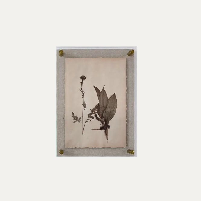 Dried Botanical Print - 13 Hub Lane   |  