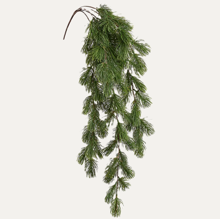 Pine Hanging Bush, Green - 13 Hub Lane   |  