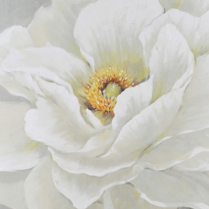 White Peony I