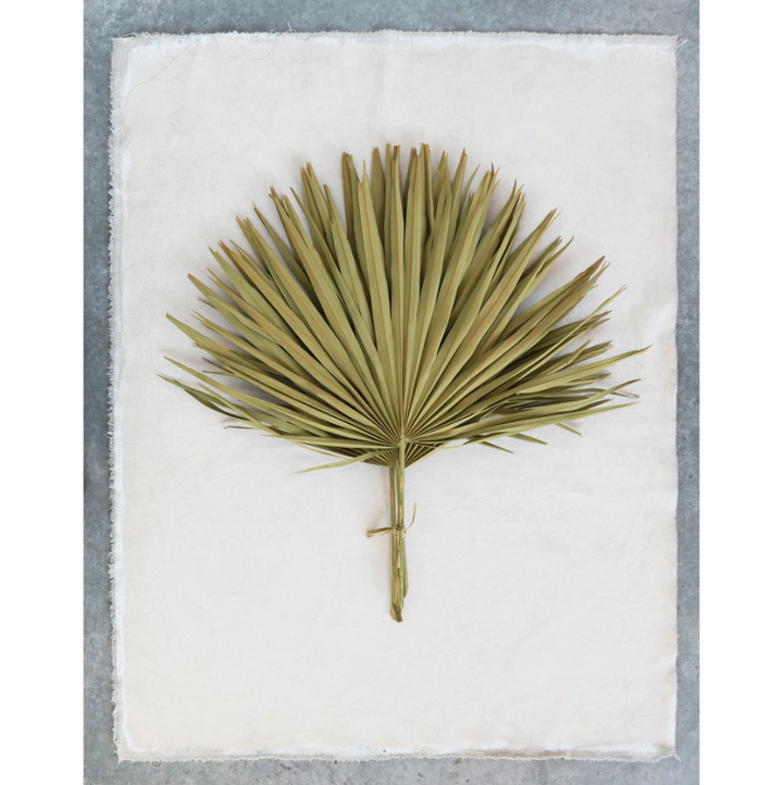 Dried Palm Leaf Bunch - 13 Hub Lane   |  Dried Palms