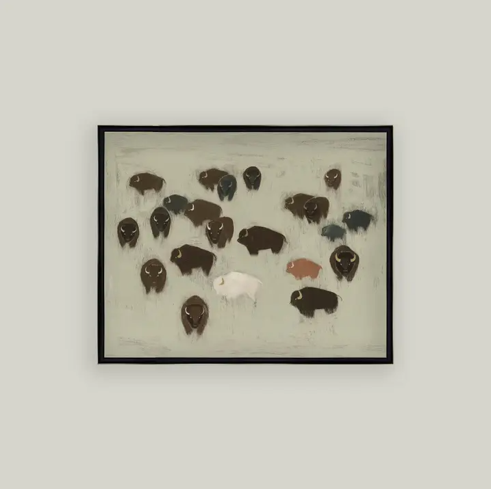 Bison Herd