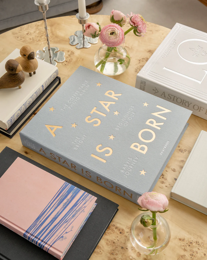 Baby Album - A Star Is Born, Grey - 13 Hub Lane   |  