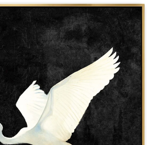 Egret II