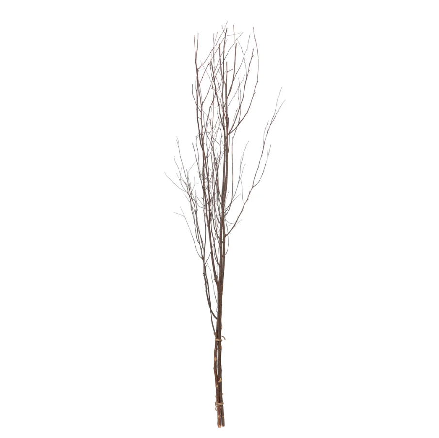 Birch Branch Bundle - 13 Hub Lane   |  Botanical Branches