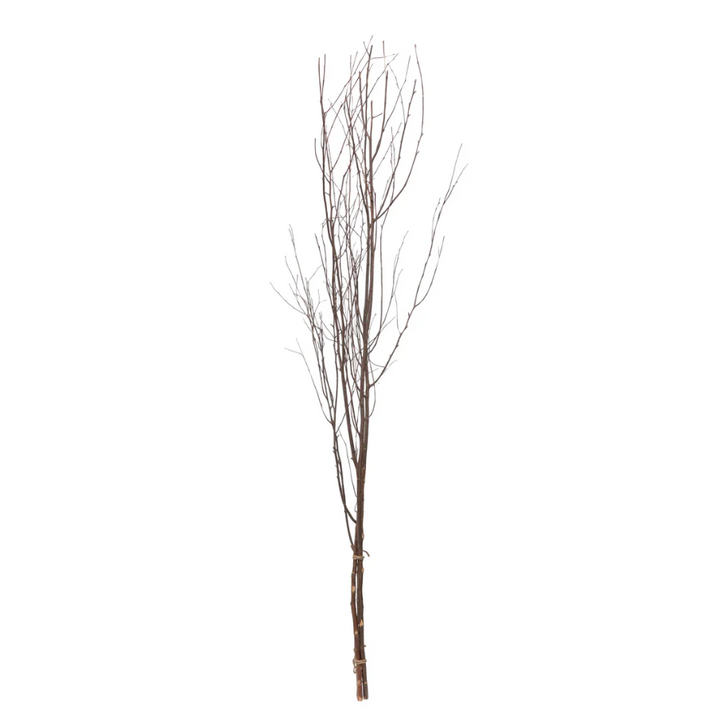 Birch Branch Bundle - 13 Hub Lane   |  Botanical Branches