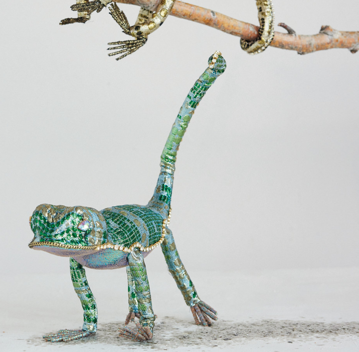 Jewel-Adorned Lizard