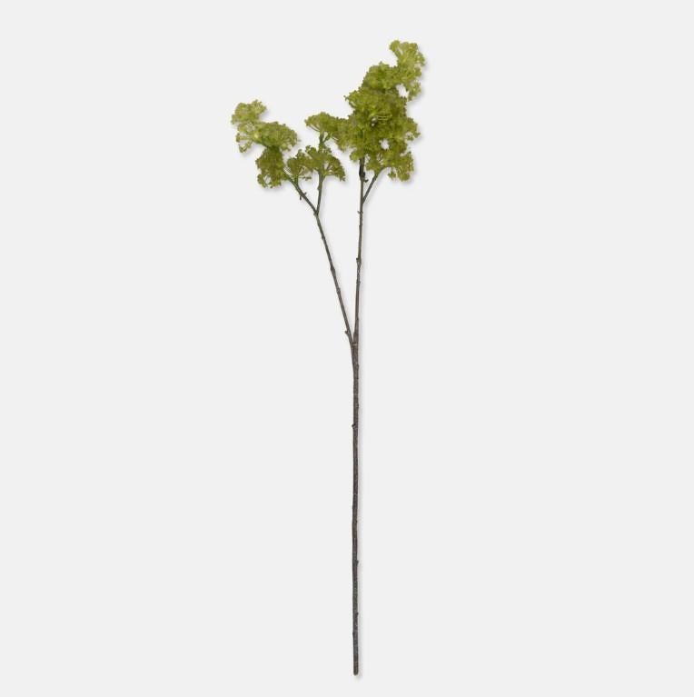 Artificial Guelder, Spring Green
