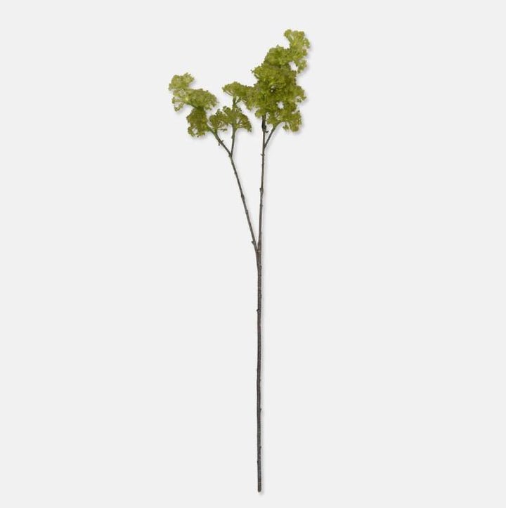 Artificial Guelder, Spring Green