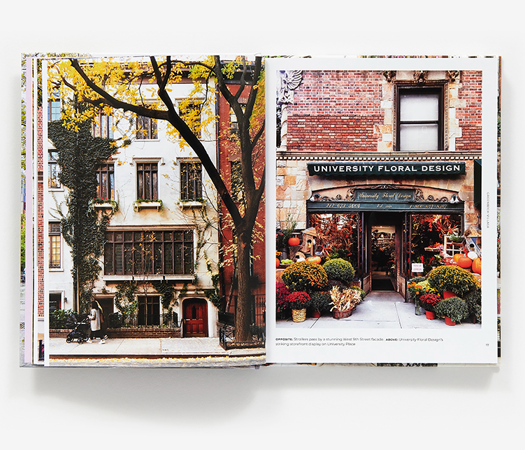 Walk with Me: New York