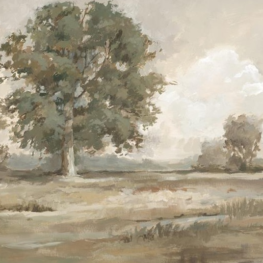 Sun-Kissed Plains - 13 Hub Lane   |  Canvas Art