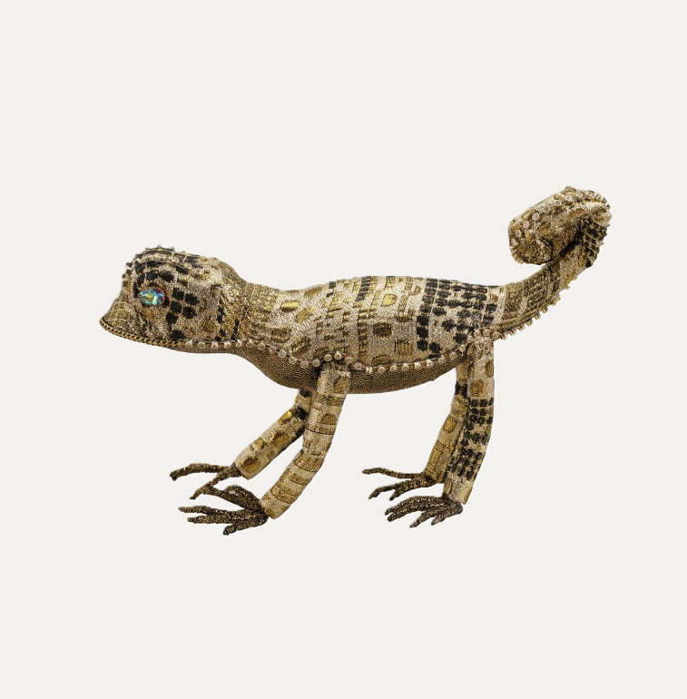 Jewel-Adorned Lizard