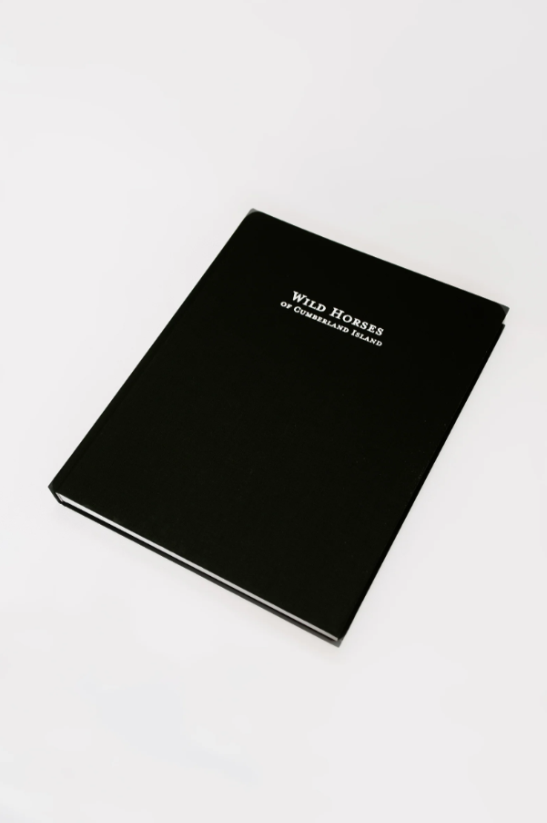 Wild Horses of Cumberland Island