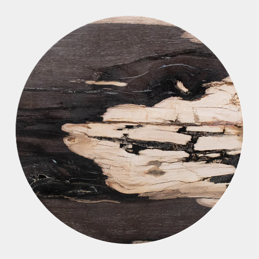 Petrified Wood Top Organic Oval Accent Table - 13 Hub Lane   |  Accent Tables