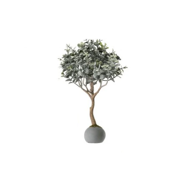 Frost Boxwood Topiary in Cement Ball