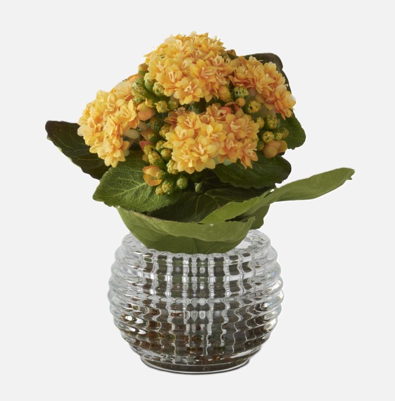 Yellow Kalanchoe w/ Moss in Pressed Glass Vase