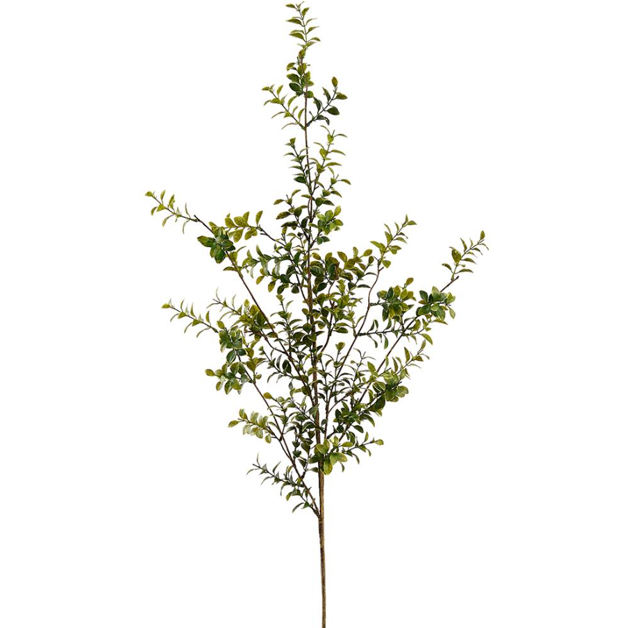 Boxwood Spray - 13 Hub Lane   |  