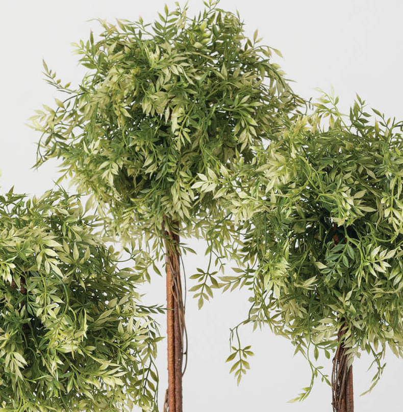 13 Hub Lane Wisteria Topiary - Thumbnail 3