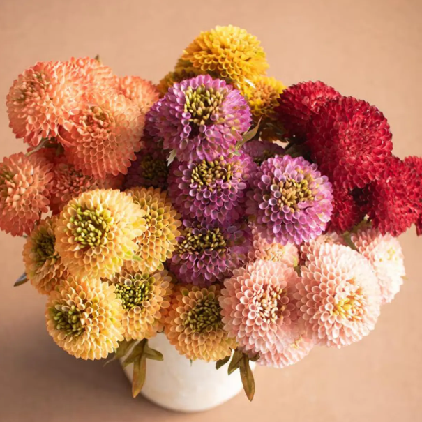 Artificial Ball Dahlia Bundle, Red