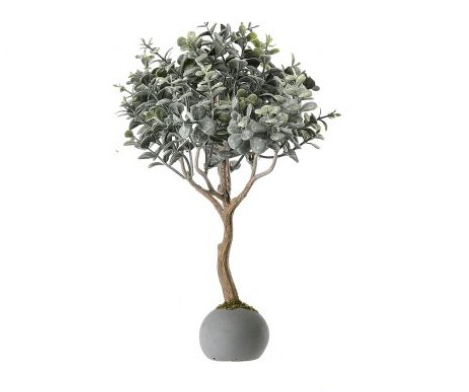 Frost Boxwood Topiary in Cement Ball