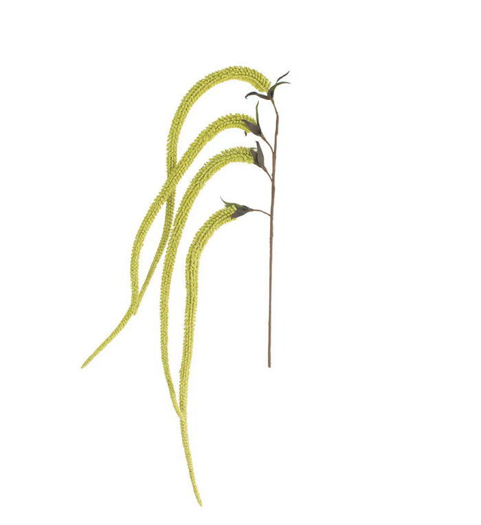 Botanica #9029 - 13 Hub Lane   |  