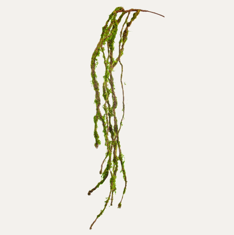 Moss Hanging Spray