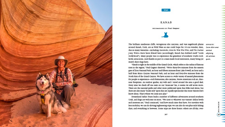 Fifty Places To Travel With Your Dog - 13 Hub Lane   |  