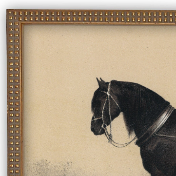 Vintage Framed Canvas, Horse & Hound - 13 Hub Lane   |  