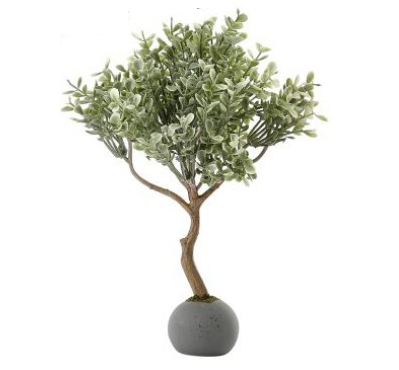 Frost Boxwood Topiary in Cement Ball - 13 Hub Lane   |  