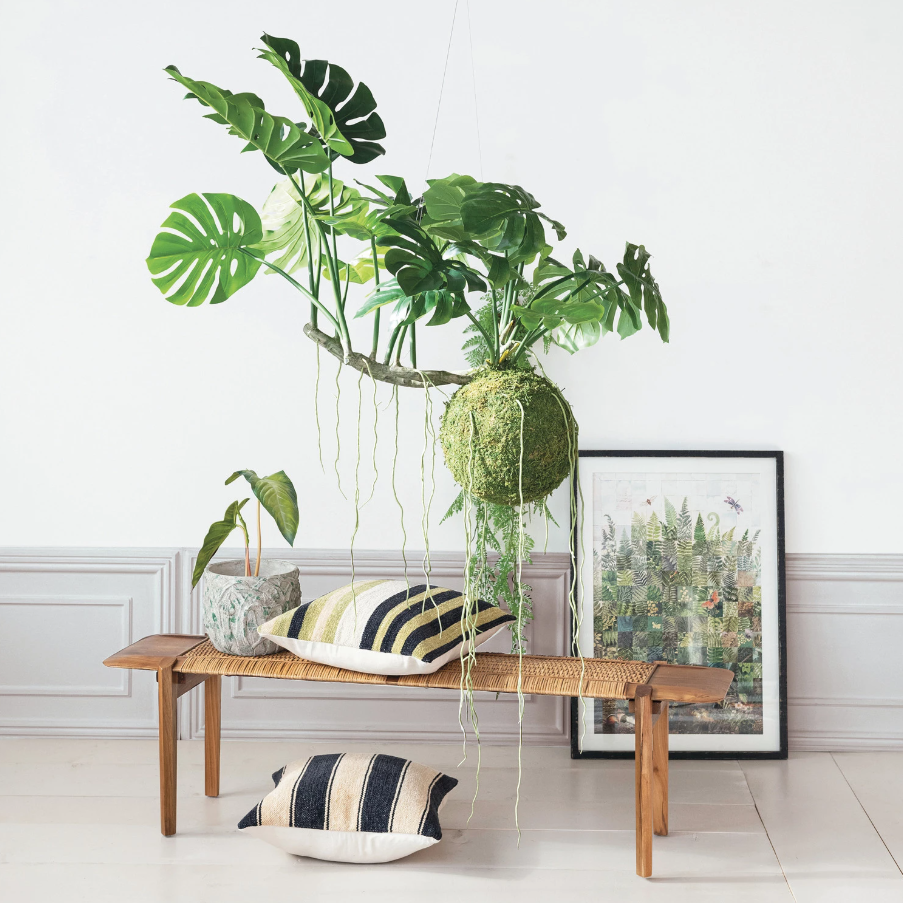 Fern Fronds Print, Behind Glass