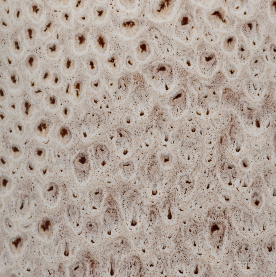 Truman Ceramic Vase - 13 Hub Lane   |  