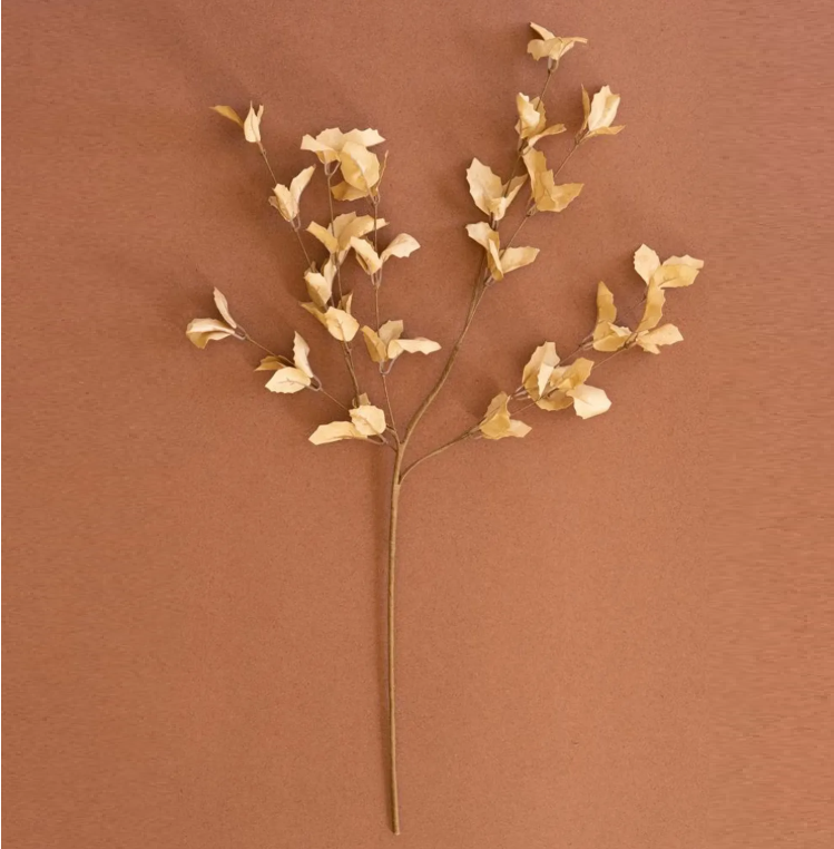 Botanica #9038