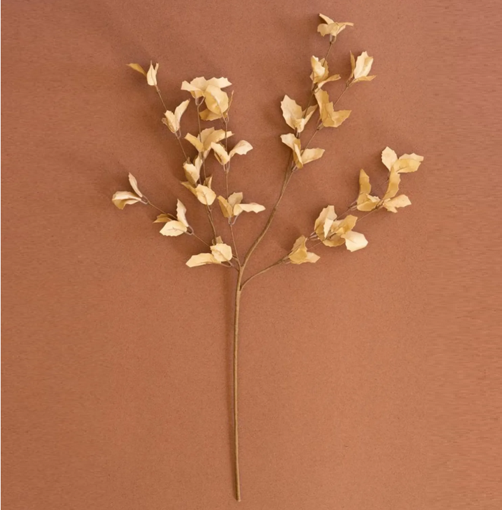 Botanica #9038