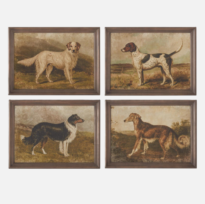 Framed Dog Print