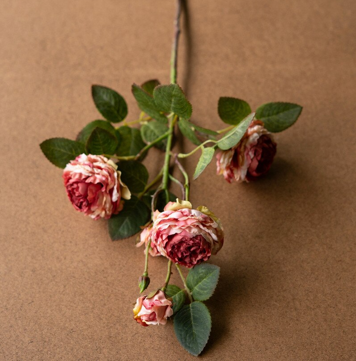 Antique Garden Rose Stem - 13 Hub Lane   |  Botanical Stems