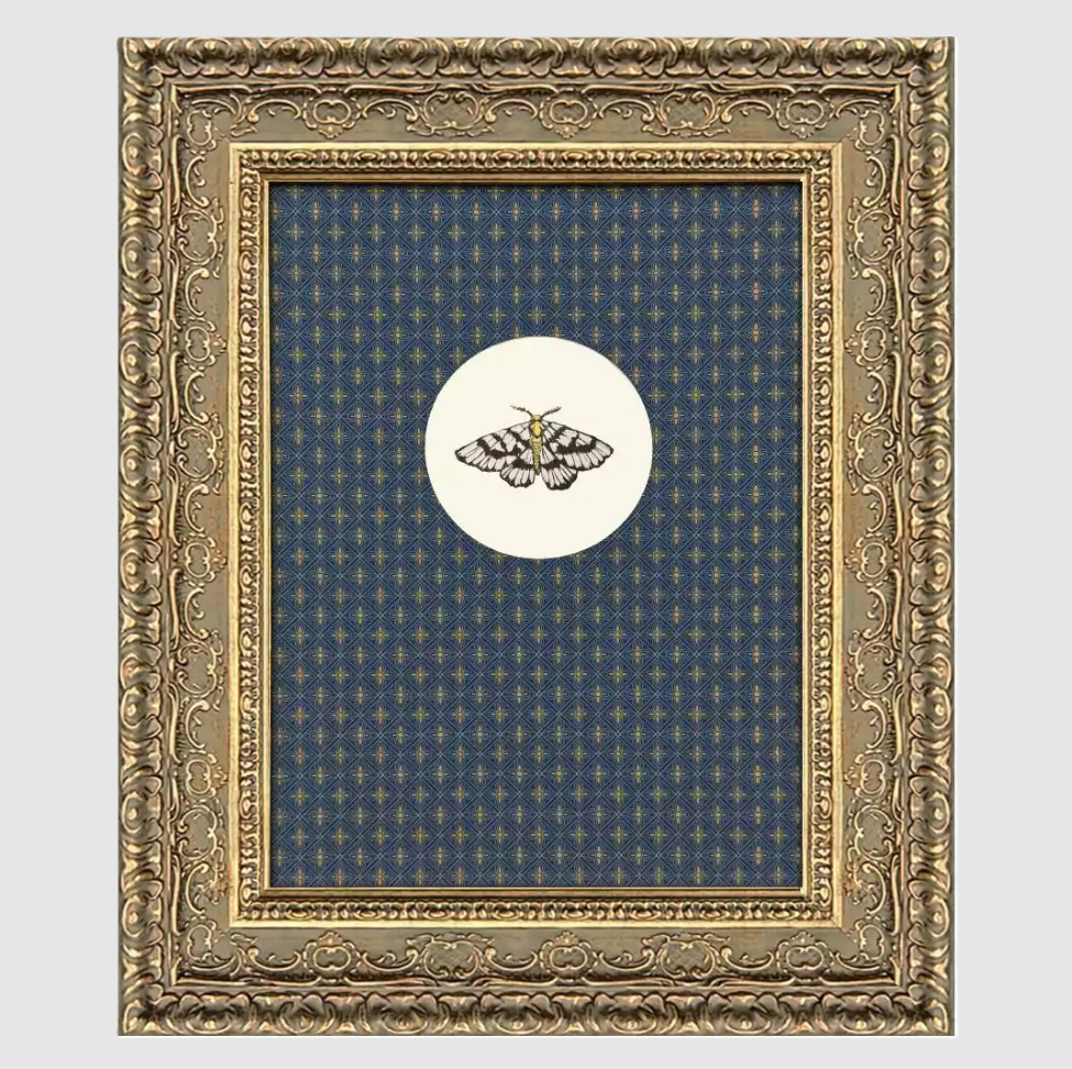 Aflutter I - 13 Hub Lane   |  