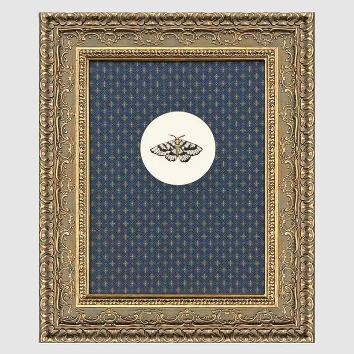 Aflutter I - 13 Hub Lane   |  