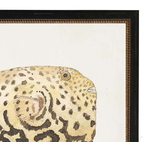 Leopard Fish - 13 Hub Lane   |  Under Glass Prints & Art