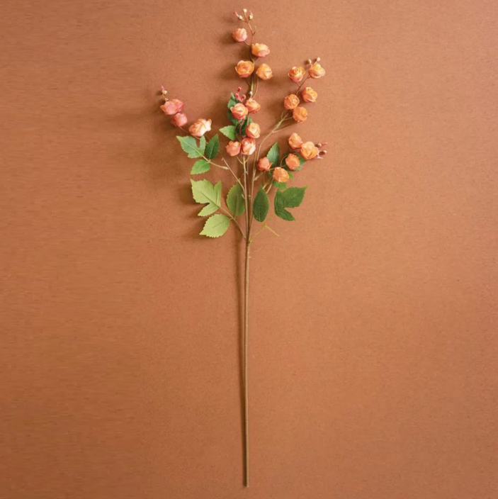 Botanica #3697
